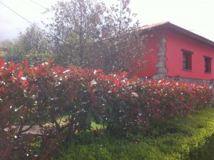 Casa rural en Ribadesella el Rincón del Sella