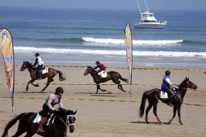 Carrera de caballos playa de Santa Marina